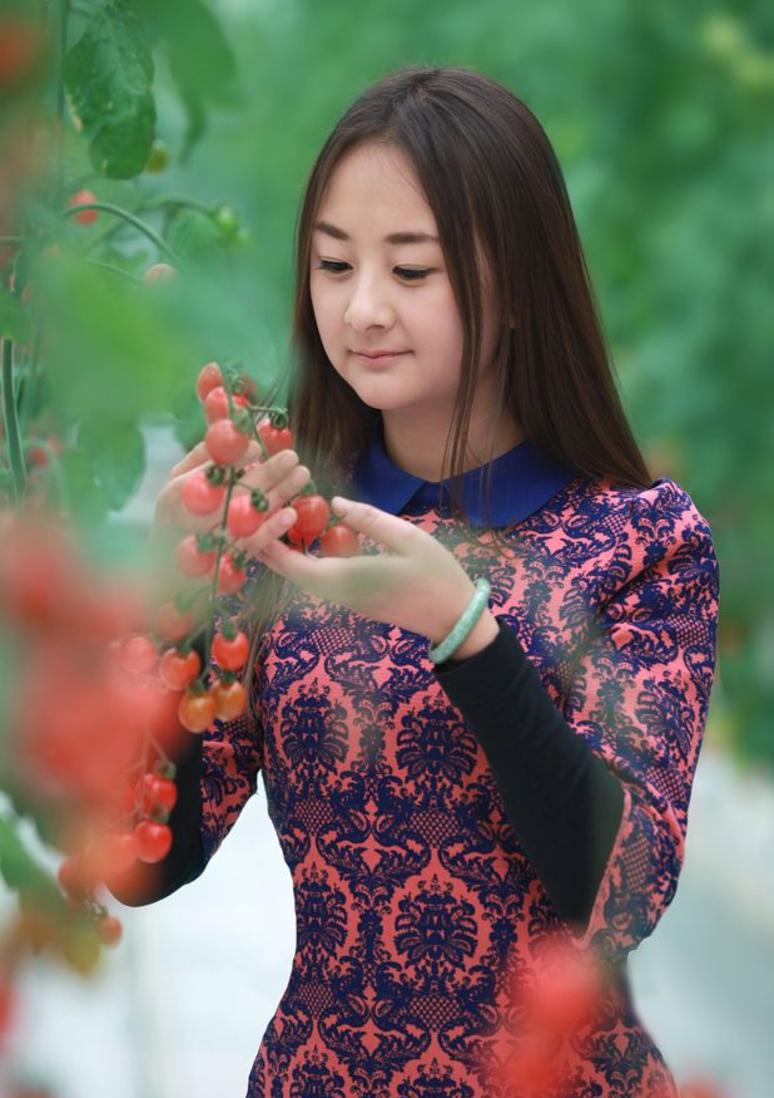 甘肃，历史长河中的文化瑰宝