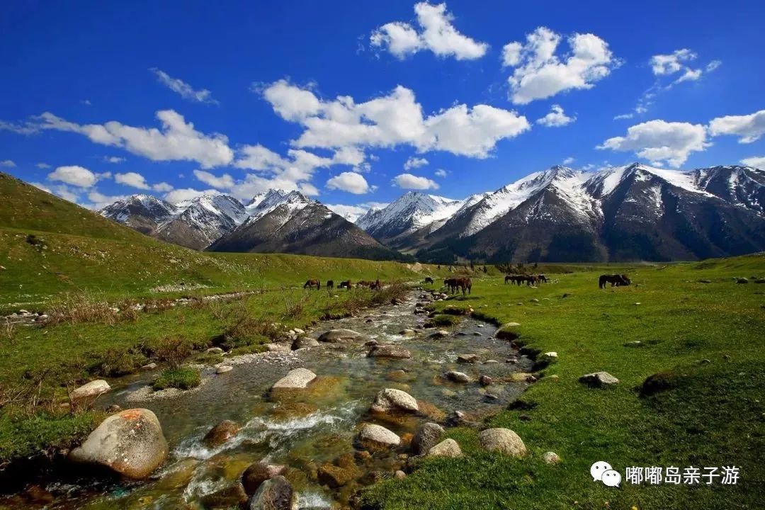 新疆,多元文化交融的璀璨明珠